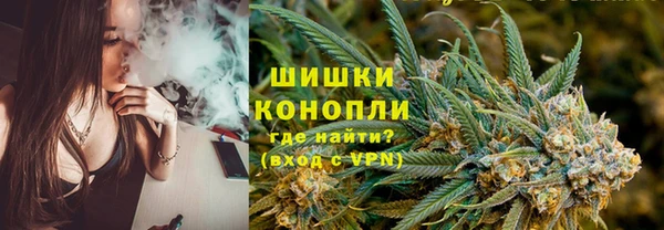 крисы Майский