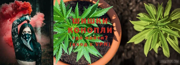трава Анива
