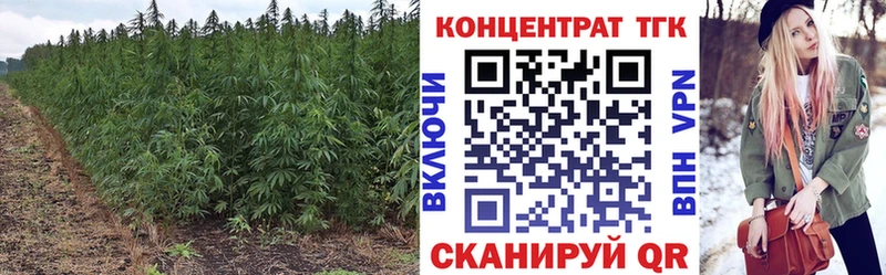 ТГК Wax Гагарин