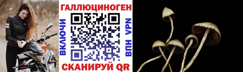 Галлюциногенные грибы прущие грибы Гагарин