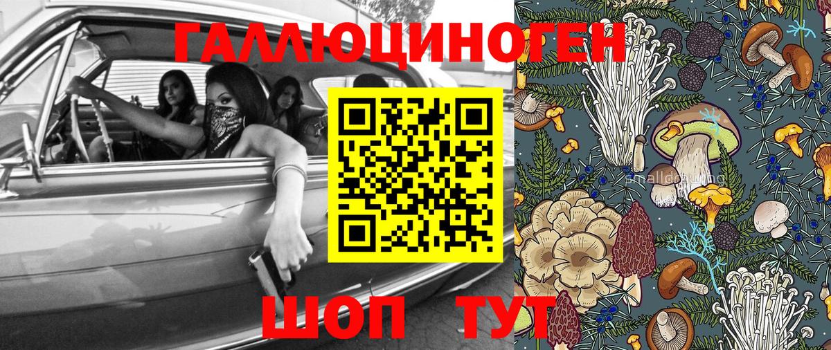 ГАШ Гагарин